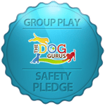 Group-play-safety-pledge