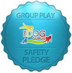 Group-play-safety-pledge Group-play-safety-pledge