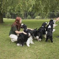 Kira and Christina with the spaniels