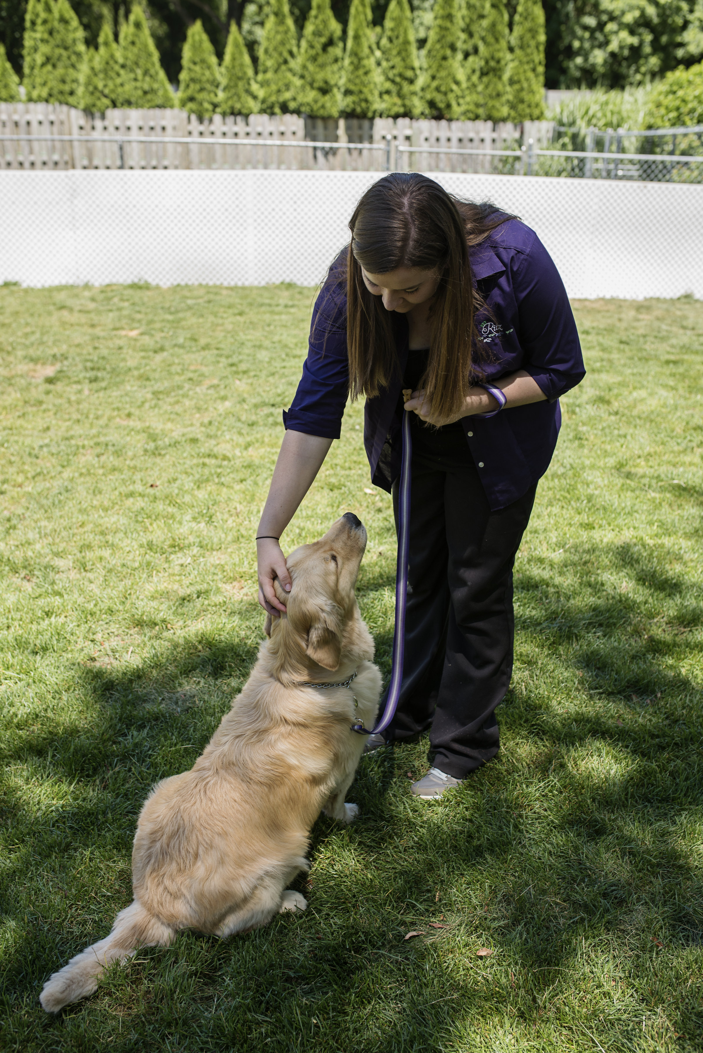 dog training parks near me