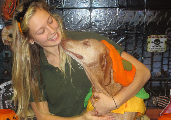 pet ritz staff member holding dog at an event